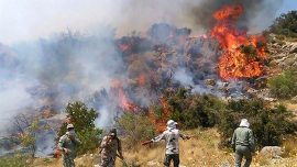 آتش‌سوزی در توسکستان تکذیب شد
